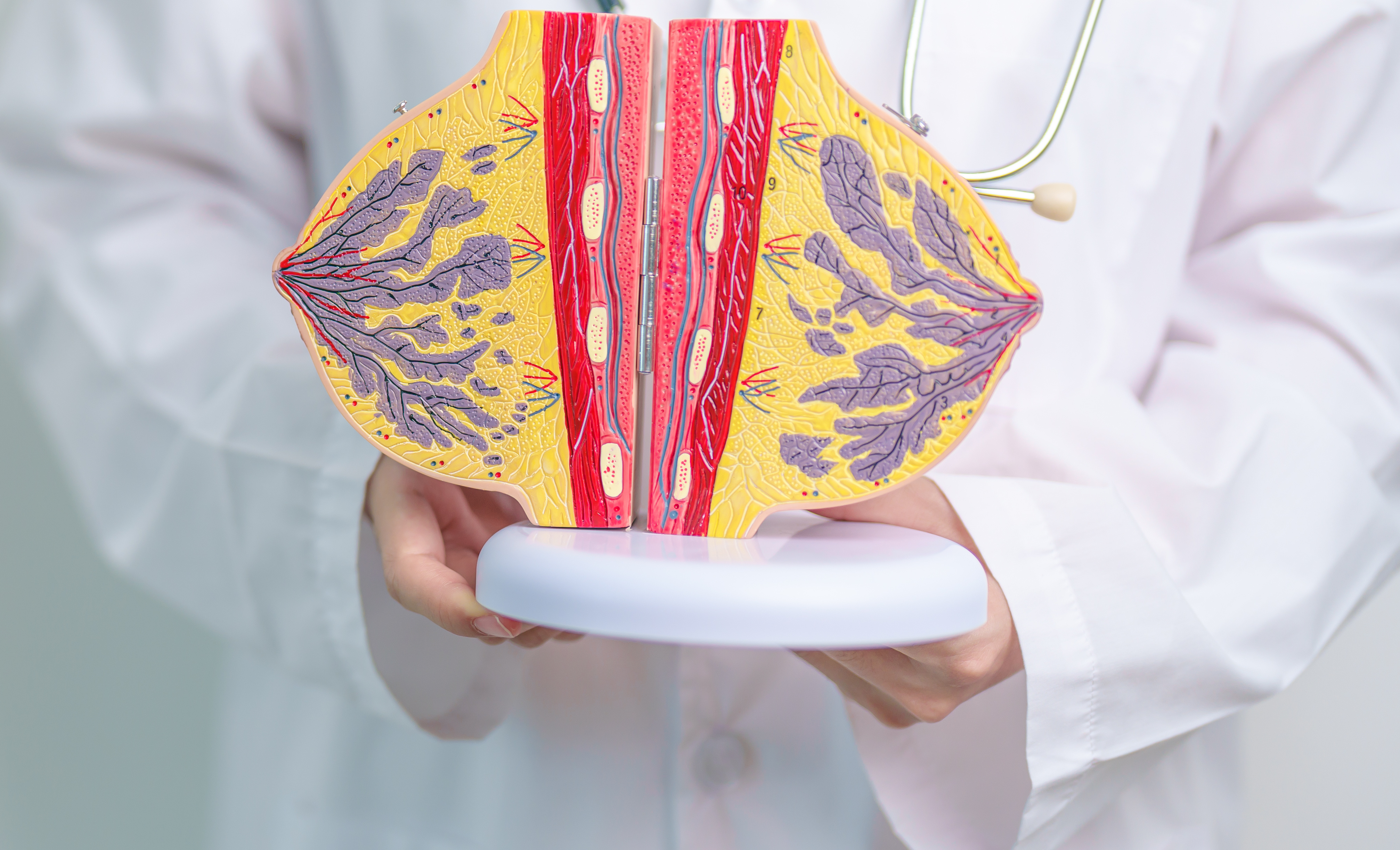 Пролактин - недостаток, избыток гормона